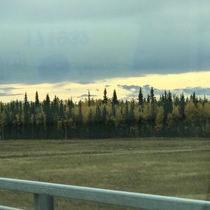 Meet your Posher, Kacie